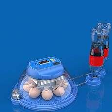 Incubatrice automatica per uova da 8 pezzi Supporta alimentazione a 12 V e 220 V, spina UE
