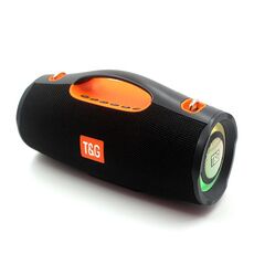T&G TG437 20W Altoparlante Bluetooth portatile TWS Subwoofer (nero)