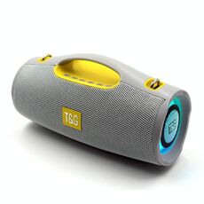 T&G TG437 20W Altoparlante Bluetooth portatile TWS Subwoofer (grigio)