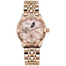 Orologio meccanico automatico luminoso impermeabile Dulunwe 6018B 30m, colore: cinturino in acciaio rosa