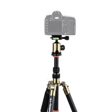 Triopo GT-2505x8.C Treppiede portatile regolabile in fibra di carbonio (oro) con testa a sfera in alluminio B-1 (nero) per fotocamera DSLR Canon Nikon Sony
