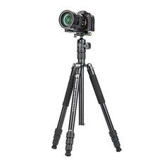 Fotopro X-go Chameleon E 2 Treppiede monopiede 2 in 1 in alluminio a 4 sezioni (nero)