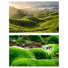 57 x 87 cm, carta da sfondo per fotografia forestale 3D bifacciale, accessori per fotografia (07)