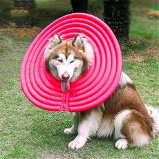 DogLemi Pet Dog Cat Anti-morso Anti-leccata Beauty Cover Collare, Taglia: L (Rose Red)