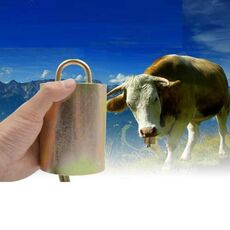 Speciale forte forte mucca cavallo pecore animali da fattoria campana forte anti-smarrimento, TAGLIA: S.