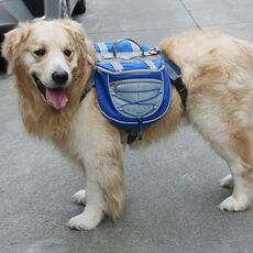 Zaino auto-portatile per cani fuori dallo zaino Borsa per animali domestici in rete traspirante, specifica: S (blu)