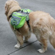 Zaino auto-portatile per cani fuori dallo zaino Borsa per animali domestici in rete traspirante, specifica: L (verde)