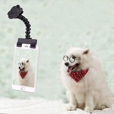 Gatto del cane della macchina fotografica dell'animale domestico che esamina la clip del telefono della macchina fotografica (nero)