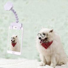 Cat per cani del cane della macchina fotografica dell'animale domestico che esamina la clip del telefono della macchina fotografica (bianco)