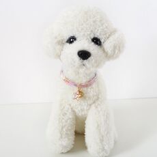 Accessori per animali domestici con collare con fibbia di sicurezza per cani da gatto regolabile da 4 pezzi, taglia: S 17-32cm, stile: stella (rosa)