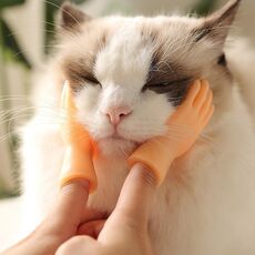 Culle per massaggi per animali domestici e guanti per gatti