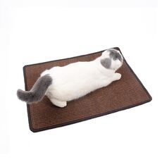 Tappetino antigraffio per gatti Forniture per animali domestici Tappetino per dormire Tappetino per gatti, consegna a colori casuali, specifica: overlock 40x60cm