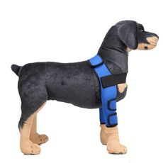 Pet Dog Gamba Ginocchio Guardia Chirurgia Infortunio Cover protettiva, Dimensioni: L (modello classico (blu))