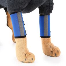 PET KNEE PROTECTOR DOGGER Surgery Surgery Copertura protettiva, dimensioni: m (riflessione blu)