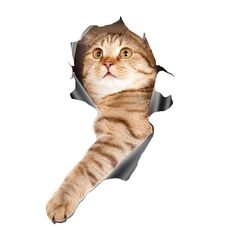4 Pz Style 1 Small 3D Stereo Cat Auto Sticker Car Body Body Graffio e adesivi occlusibili