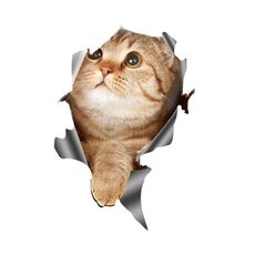4 PCS Style 2 Small 3D Stereo Cat Auto Sticker Car Body Body Graffio e adesivi occlusibili