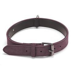 Colletto in pelle a doppio strato di Jinmaohou, specifica: XS 34x1.7cm (viola)