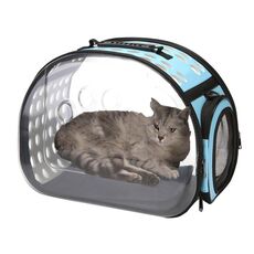 Pacchetto di uscita della capsula dello spazio trasparente dell'animale domestico, dimensione: grande (blu)