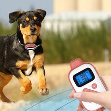 PaiPaitek PD523 1000 m Telecomando ricaricabile impermeabile per cani