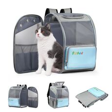 FUNADD Zaino per animali domestici pieghevole e traspirante Spalle per esterni Borsa per gatti (blu)