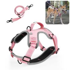 FunAdd Pettorina per Cani con Corda da Trazione in Nylon Traspirante Riflettente, Taglia: M (Rosa)