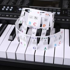 Adesivi colorati per tastiera per pianoforte per principianti per bambini Accessori per strumenti musicali, stile: tasti di pianoforte imitazione 61 tasti