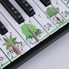 M52 88/76/61/54/49 Tasti tastiera per pianoforte (albero)