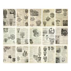 Adesivo per sfondo decorativo per giornali vintage in carta per album da 30 fogli, stile: erbe