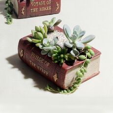 Vasi per libri di letteratura retrò Pianta multi-carne Bonsai Micro-paesaggio Libro vintage Vaso da fiori Fioriera per fiori Succulente Cactus Erbe Pianta da letto Scatola Caso Vaso da fiori, Dimensioni: 14 * 10,5 * 5 cm