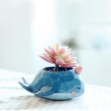Bella casa giardino ufficio resina cartone animato animale a forma di balena pianta vaso di fiori decorazione animale vasi da fiori fioriera