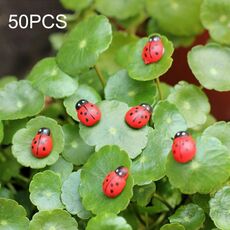 50 pezzi cabochon in legno di colore rosso coccinella per decorazione decorazione in legno coccinella artigianato ornamenti micro-paesaggio accessori ornamenti multi-carne