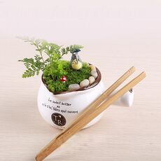 Pinzetta diritta in bambù Strumento per la pulizia delle piante Muschio Strumenti per la produzione di micro-paesaggi Pinzette per piante in bambù, Lunghezza: 18 cm
