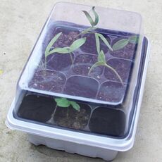 5 PCS Piantina Vassoio Germoglio Piatto 12 Fori Vasi Vasi Vassoio Coperchi Scatola Per Giardinaggio Bonsai Mini Serra Vivaio Piatto (Bianco)