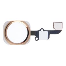 Cavo flessibile tasto home per iPhone 6 e 6 Plus, non supporta l'identificazione dell'impronta digitale (oro)