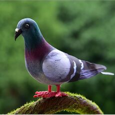 2 PCS Simulazione Foam Pigeon Model Home Garden Ornament Miniature Decor