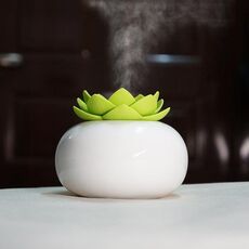 Purificatore d'aria umidificatore aromi idratante Lotus Ceramic Nano Spray (fiore verde + ceramica bianca)