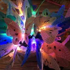 Fata in fibra ottica a farfalla alimentata a energia solare, luci natalizie da giardino all'aperto, impermeabili, dimensioni: 5 m 20 LED