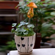 Piante domestiche a forma di fungo Fiori Alimentatore d'acqua Dispositivi automatici di irrigazione automatica in vetro trasparente (giallo)