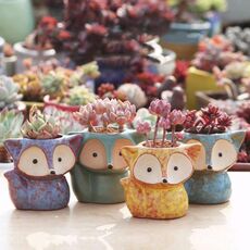 Carnoso Flower Pot Succulente ceramica Thumb Pot Fox Vaso da fiori, colore casuale di consegna