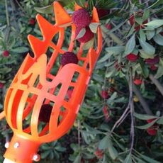 Plum Date Apricot Pick Fruit Plastic Tool (arancione)