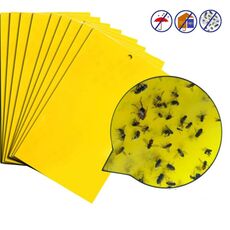 10 confezioni Bordo per insetti biadesivo Pannello giallo Melone Fruit Fly Trap Board