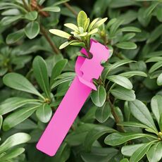 100 pezzi Giardinaggio Pianta Pianta Sferendino Seme Appeso Tree Etichetta (rosa)