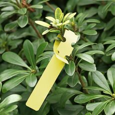 100 pezzi Giardinaggio pianta alberello Seme Seme Appeso Etichetta (Giallo)