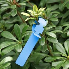 100 pezzi Giardinaggio Pianta Pianta SEME SEME APPENDE Etichetta ad albero (blu)