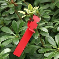 100 pezzi Giardinaggio pianta alberello Seme Seed Hanging Etichetta (Rosso)