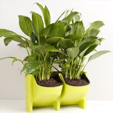 Vasi da fiori a parete per balcone verticale per interni ed esterni da parete per piante Combinazione creativa di vasi da fiori in plastica in resina con vaso rimovibile (verde)