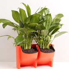 Vasi da fiori a parete per balcone verticale per interni ed esterni da parete per piante Combinazione creativa di vasi da fiori in plastica in resina con vaso rimovibile (rosso)