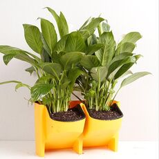 Vasi da fiori verticali da parete per balcone da interno ed esterno da parete Combinazione creativa di vasi da fiori in plastica in resina con vaso rimovibile (giallo)