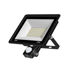 50W PIR LED Spotlight Project Project Project Light Waterproof Garden Garden a risparmio energetico Proiettore, Stile: (luce bianca fredda)