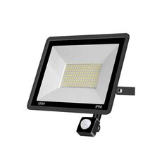 100W PIR Spotlight Spotlight Project Outdoor Project Light Garden Garden a risparmio energetico Proiettore, Stile: (luce bianca fredda)